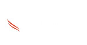 CrowdStrike company logo.